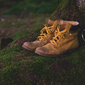 Man Sports Shoe