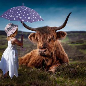 Baby Umbrella
