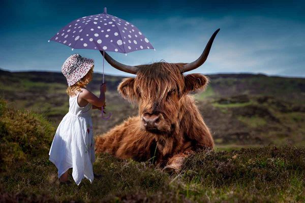Baby Umbrella