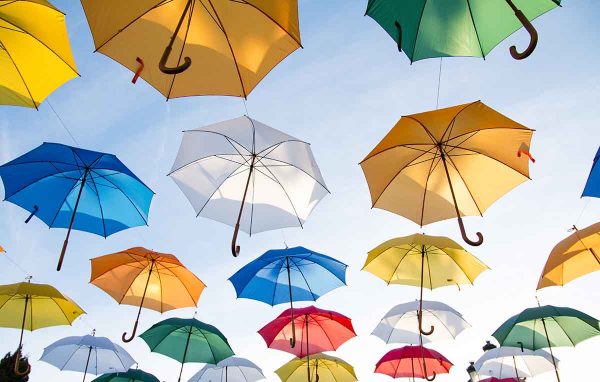 Umbrella Bundle